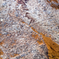 Similar image 2778768