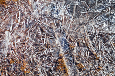 Similar image 2778769