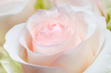 Similar image 2778812