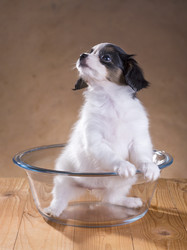 Similar image 2778846