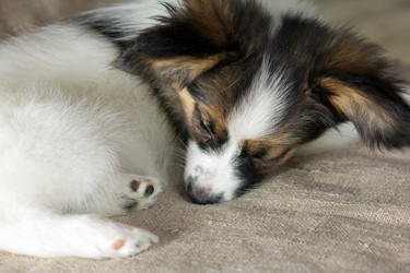 Similar image 2778847