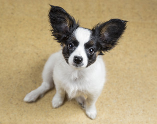 Similar image 2778848