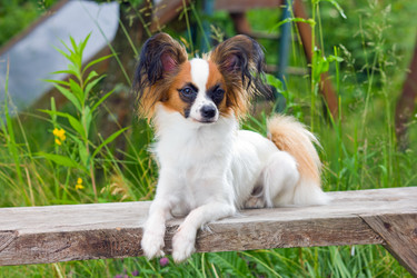 Similar image 2778872