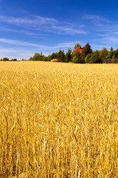 Similar image 2778874