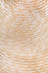 Similar image 2778879