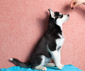 Similar image 2778885