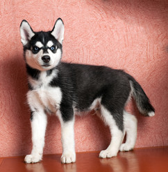 Similar image 2778918