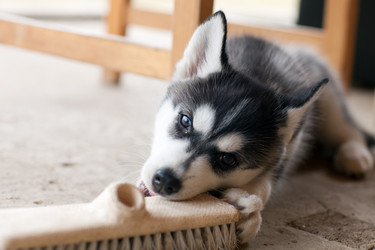 Similar image 2778927