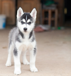 Similar image 2778938