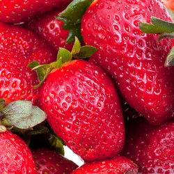 Similar image 2779012