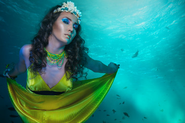 Similar image 2779165