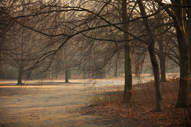 Similar image 2779173