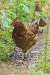 Similar image 2779224