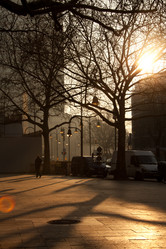 Similar image 2779230