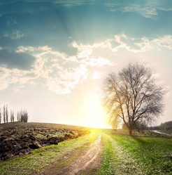 Similar image 2779266