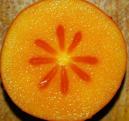 Similar image 2779278