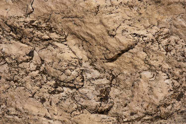 Similar image 2779315