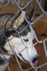 Similar image 2779319