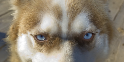 Similar image 2779321