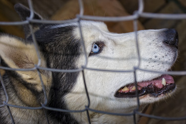 Similar image 2779322