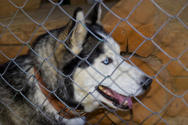 Similar image 2779323