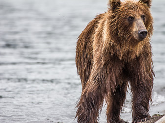 Similar image 2779351