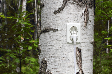 Similar image 2779435