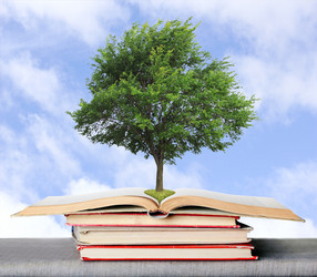 Similar image 2779437