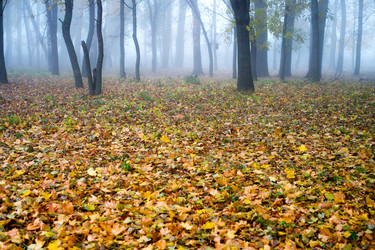 Similar image 2779443