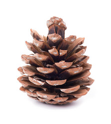 Similar image 2779446