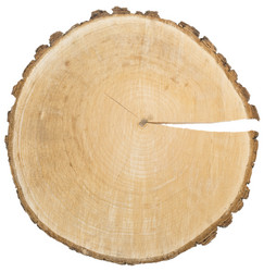 Similar image 2779526