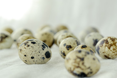 Similar image 2779589