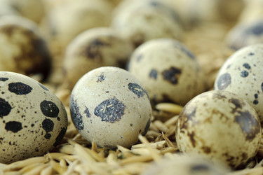 Similar image 2779592