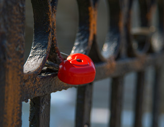 Similar image 2779672