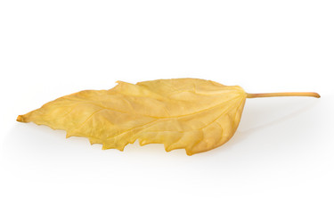 Similar image 2779681