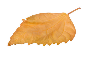 Similar image 2779683