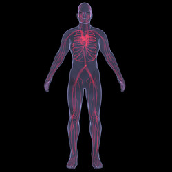 Similar image 2779706