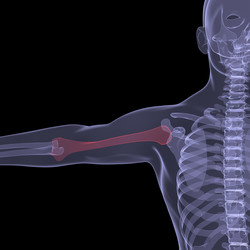 Similar image 2779759