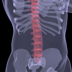 Similar image 2780451