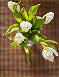 Similar image 2781162