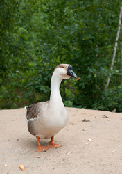 Similar image 2781243