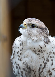 Similar image 2781246