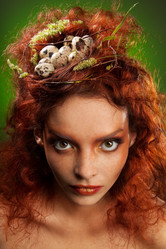 Similar image 2781278