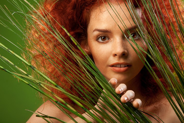 Similar image 2781295