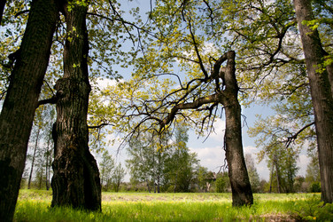 Similar image 2781307