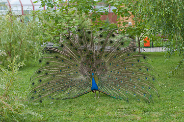 Similar image 2781308