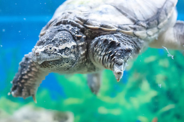 Similar image 2781309