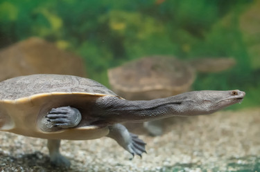 Similar image 2781311