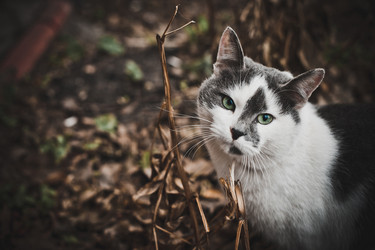 Similar image 2781315