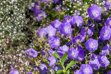 Similar image 2781317